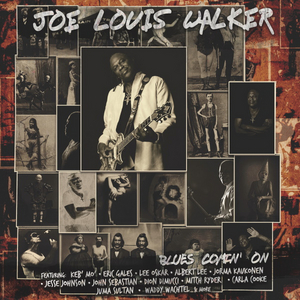 Blues Veteran Joe Louis Walker Announces New Album  Image