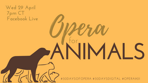 Opera Memphis Continues Online 30 DAYS OF OPERA Series With OPERA FOR ANIMALS 