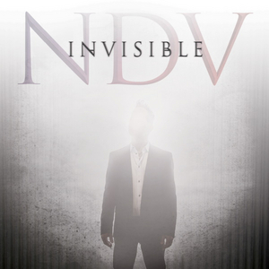 Nick D'Virgilio to Release New Solo Album INVISIBLE Image