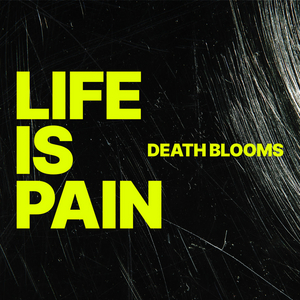 Adventure Cat Records Signs UK Rockers Death Blooms Image