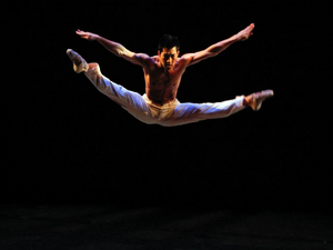 VIDEO: Dance Against Cancer Celebrates 10 Years by Streaming 'Year 1' Performances Image