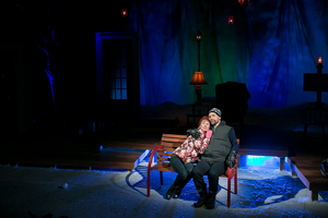 Feature: Redhouse Arts Center Expands Virtual Redhouse with their 2019 Production of ALMOST, MAINE 