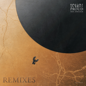 Tchami Drops Official Remix Package For Single 'Proud' 