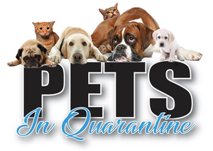 Bell Tower Theater Will Present Virtual Play, PETS IN QUARANTINE 