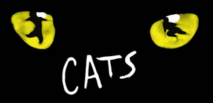 Feature: CATS IL MUSICAL IN STREAMING su You Tube Image