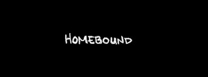 BWW Video: Episode Four of Round House Theatre's Webseries Homebound 