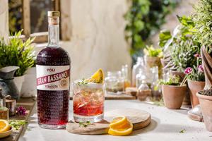 Sip Italy with Fine Choices - APERITIVO and DIGESTIVO Along with Recipes to Enjoy 