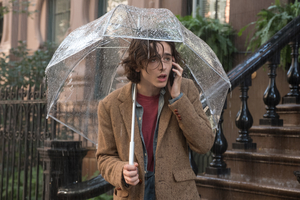 Review: A RAINY DAY IN NEW YORK, Home Premiere  Image