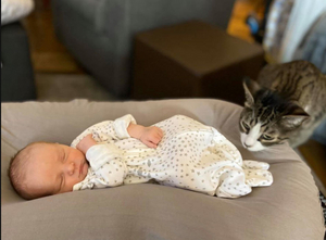 Interview: At Home With Susie Mosher And Her (Finally) Complete Family Image