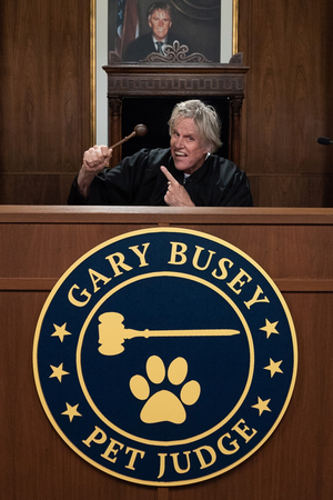 GARY BUSEY: PET JUDGE is Out Now on Prime Video 