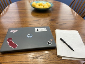 BWW Blog: Experiencing Online Learning As A Theatre Major Image