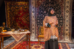 Premiere Stages Offers Innovative Virtual Programming Focused on the Immigrant Experience Image