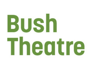 Bush Theatre Releases THE PROTEST Image
