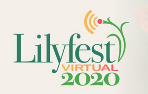 Lilyfest Virtual 2020 Hosts Online Artist's Market, Garden Tours and Music 