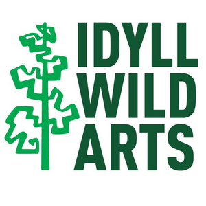 Idyllwild Arts Presents Reimagined JAZZ IN THE PINES Concert Series for Summer 2020  