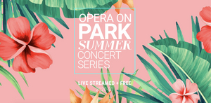 Opera Orlando Brings its Opera on Park Summer Concert Series Online This Year Image
