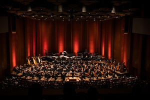 Houston Symphony to Receive $25,000 Grant Image