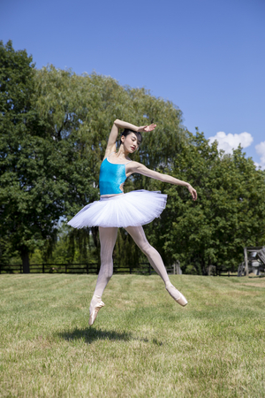 Kaatsbaan Cultural Park Announces Summer Festival 2020 Image