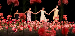 Danse Danse Cancels NELKEN By Pina Bausch  Image