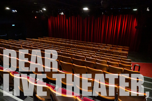 BWW Blog: Dear Live Theater Image