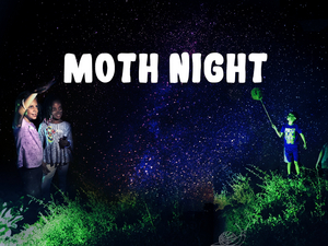 Celebrate National Moth Week With the Staten Island Museum Image