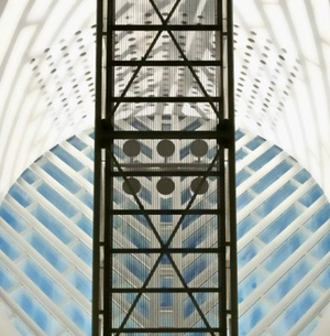 Visual Arts Center of New Jersey Opens Virtual Exhibition FOCUS FORWARD Image