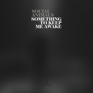 Social Animals Release Single 'Something to Keep Me Awake' 