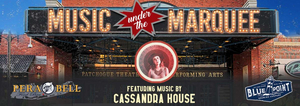 Patchogue Theatre Announces MUSIC UNDER THE MARQUEE Image