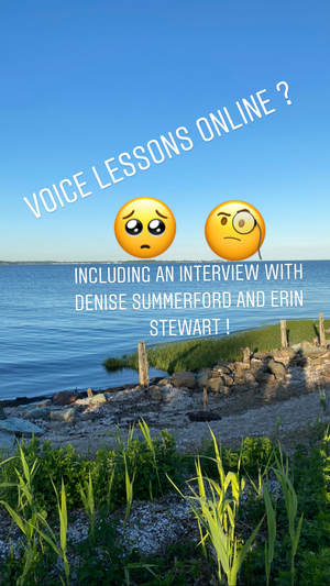 BWW Blog: Voice Lessons Online? How Can I Do That? Image
