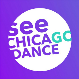 See Chicago Dance Appoints Julia Mayer as New Executive Director 