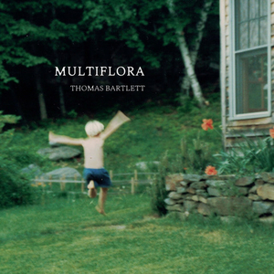 Thomas Bartlett Reveals New Song 'Multiflora' Image