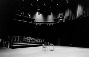 BWW Blog: A Summer Without Theatre - How I've Survived (Barely) Image