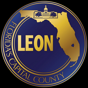 Leon CARES Local Human Services Assistance Grant Program Launched Image