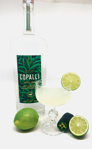 COPALLI RUM to Celebrate National Rum Day on 8/16-New Brand Ambassadors and Cocktail Recipes  Image