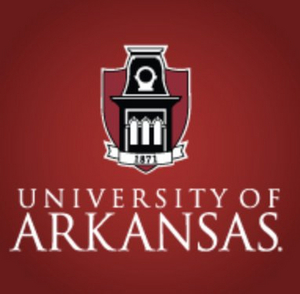 University of Arkansas' University Symphony Orchestra Announces Fall Auditions  Image