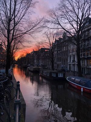 BWW Blog: Embracing the Unknown in London - Featuring a Hapa Girl, Cappuccinos, & a Trip to Amsterdam Image