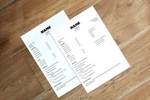 BWW Blog: A Beginner's Guide to Resumes - The Dos and Don'ts Image