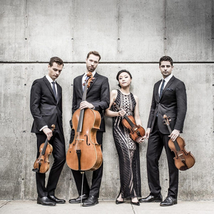 Tesla Quartet Returns to LOTS OF STRIINGS Music Festival at the Morris Museum  Image