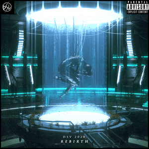 UK Label DSV Audio Reveals VA 'Rebirth' Compilation Image