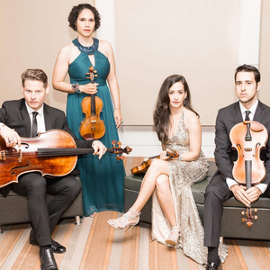 Catalyst Quartet Performs at the LOT OF STRINGS MUSIC FESTIVAL at The Morris Museum Image