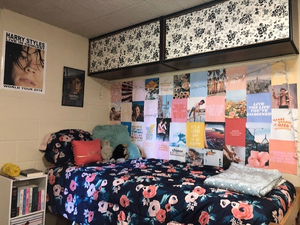 BWW Blog: Make Your Dorm Room Feel Like Home Image