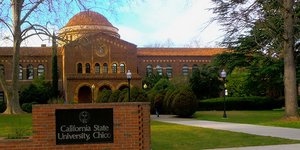 BWW Blog: Thoughts On My First Week of School Image