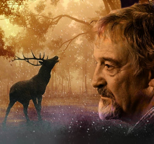 #FinboroughForFree Will Stream DEATH OF A HUNTER Image