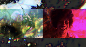 Winter Shares Video for 'Bem No Fundo' Feat. Boogarins 