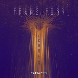 TRANSITORY ECHOES Introduces Six Vibrant New Remixes 