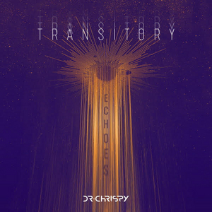 TRANSITORY ECHOES Introduces Six Vibrant New Remixes Image