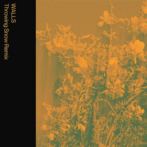 Throwing Snow Remixes Mild Minds Single 'WALLS' Image