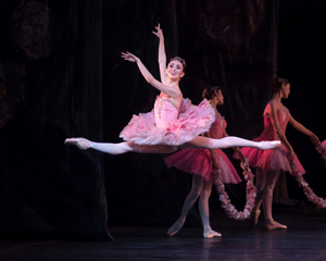 American Ballet Theatre Announces 2020 Promotions Image