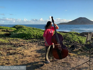 Virtual Performance Videos Showcase Carnegie Hall's Three Acclaimed National Youth Ensembles Image