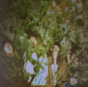 Pine Barons Share 'Little Spain' Image